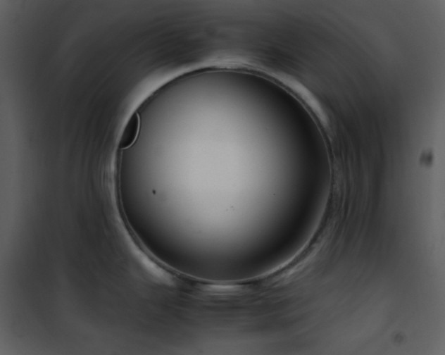 X0000102011343200807181219