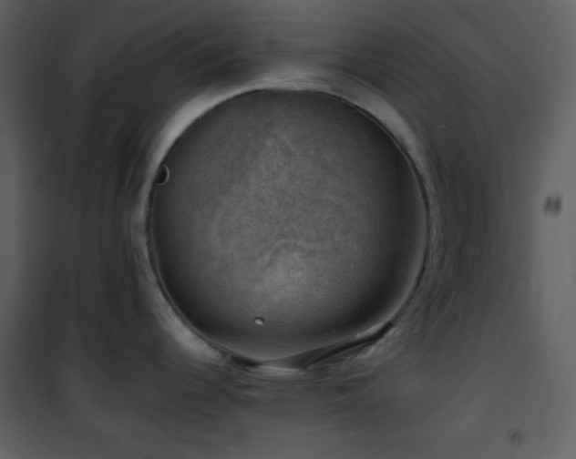 X0000102011344200807181219