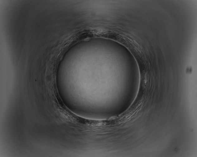 X0000102011345200807181218