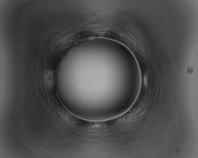 X0000102011347200807181218