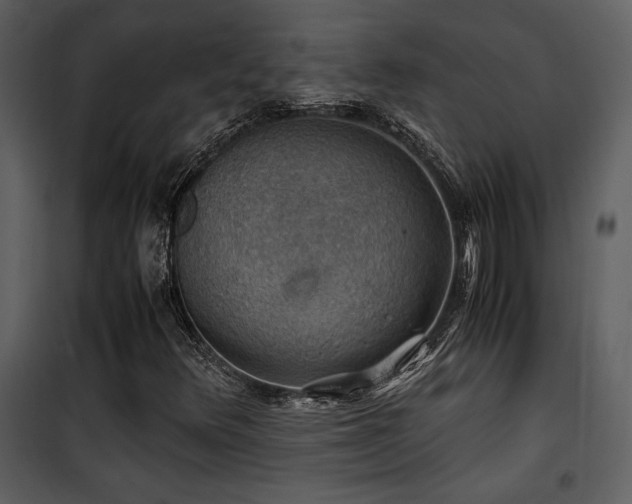 X0000102011348200807181218