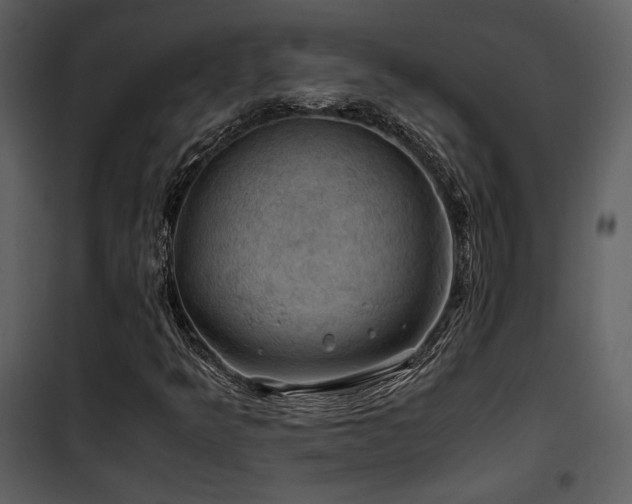 X0000102011349200807181218