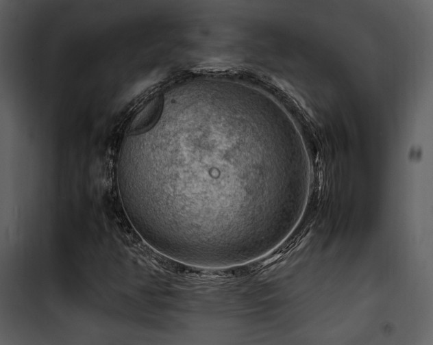 X0000102011350200807181218