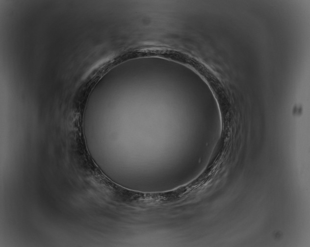 X0000102011351200807181218