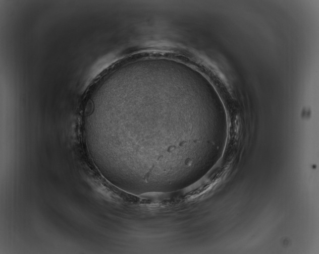 X0000102011352200807181218