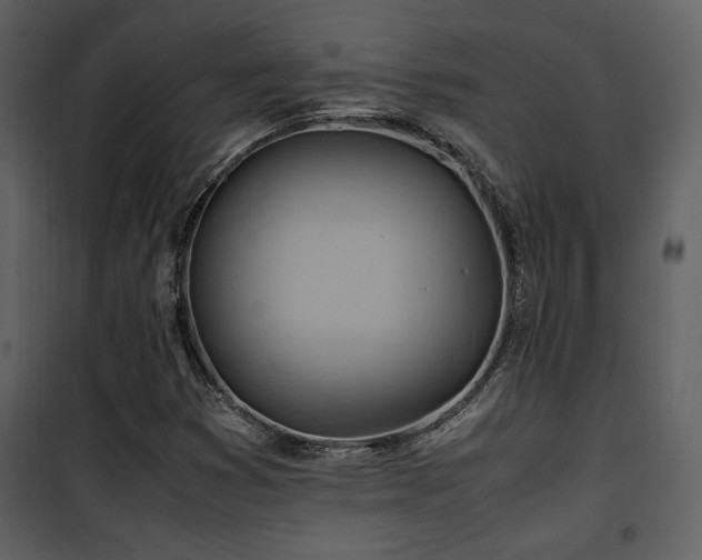 X0000102011353200807181218