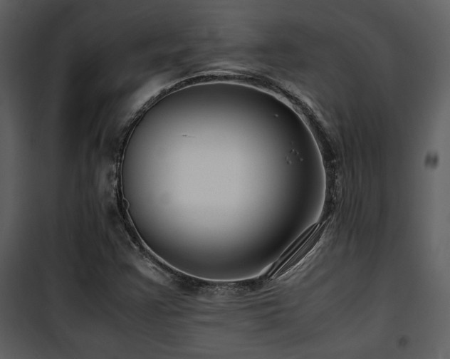 X0000102011355200807181218