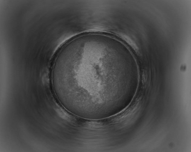 X0000102011356200807181218