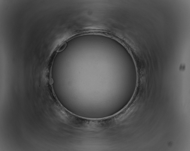 X0000102011357200807181218