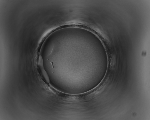 X0000102011358200807181218
