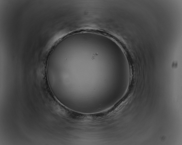 X0000102011359200807181218