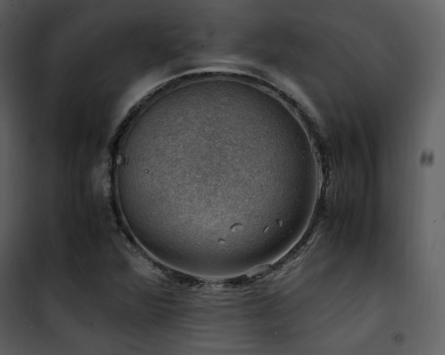 X0000102011360200807181218