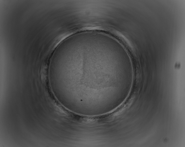 X0000102011361200807181218