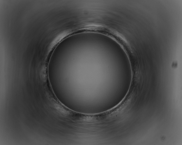 X0000102011362200807181218
