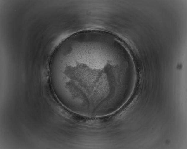 X0000102011363200807181218