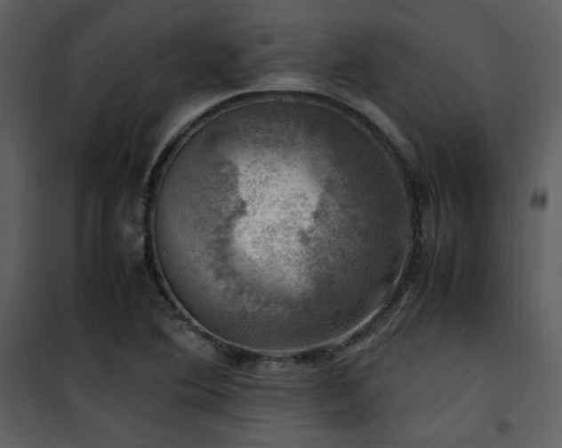X0000102011364200807181218