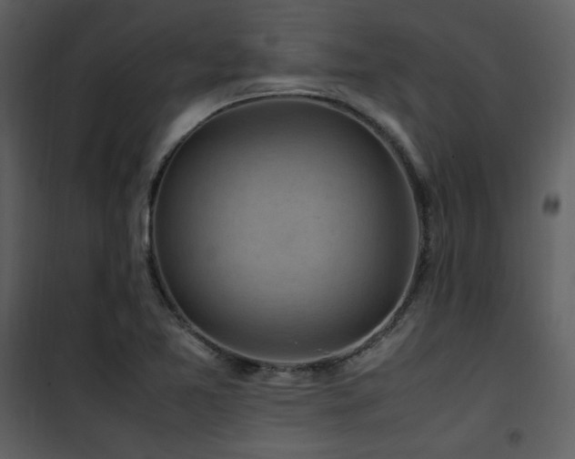 X0000102011365200807181218