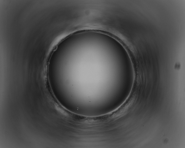 X0000102011366200807181218