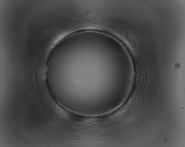 X0000102011367200807181218
