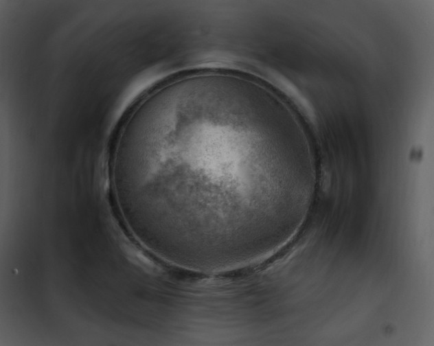 X0000102011368200807181218