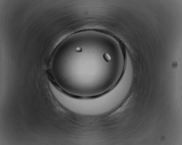 X0000102011369200807181218