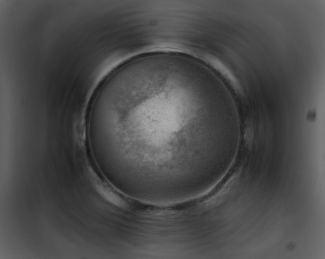 X0000102011372200807181218