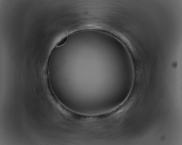 X0000102011373200807181218