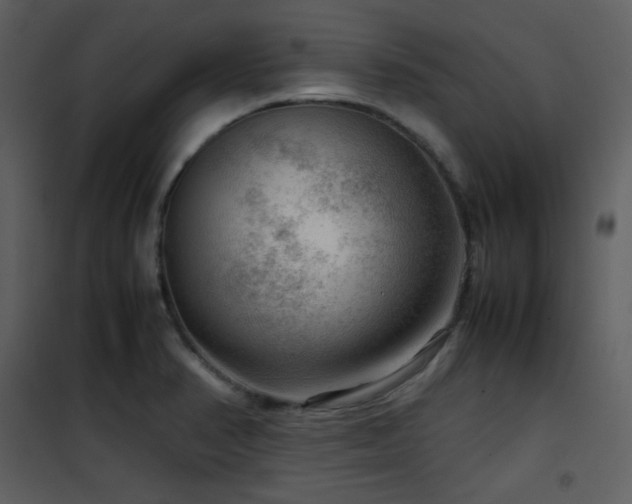 X0000102011374200807181218