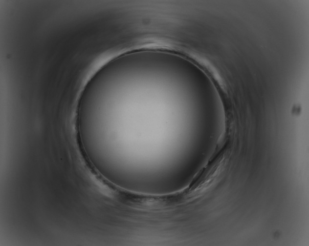 X0000102011375200807181218