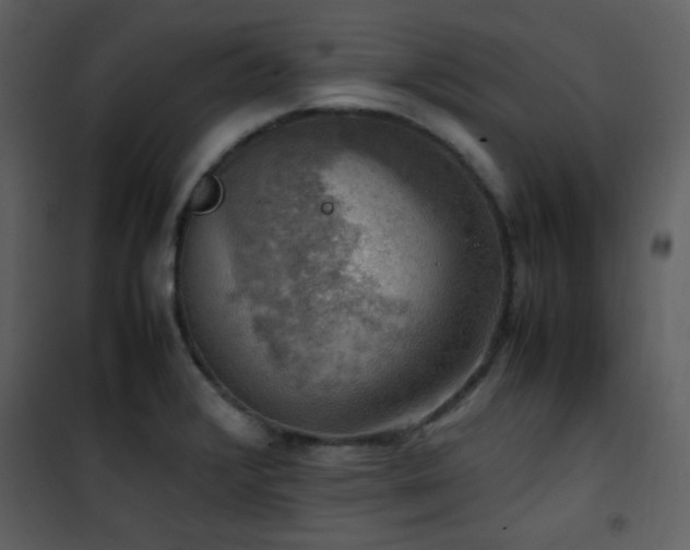 X0000102011376200807181218
