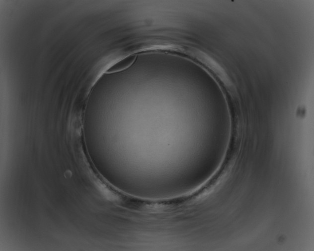 X0000102011377200807181218