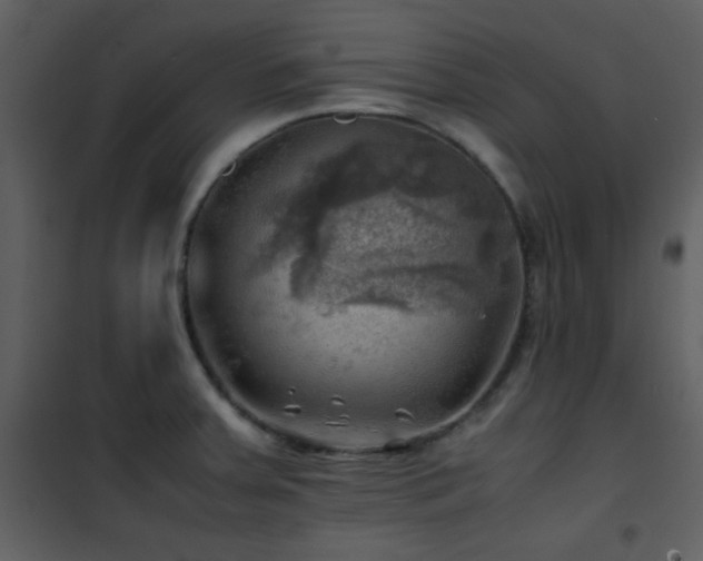 X0000102011379200807181218