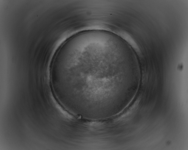 X0000102011380200807181218