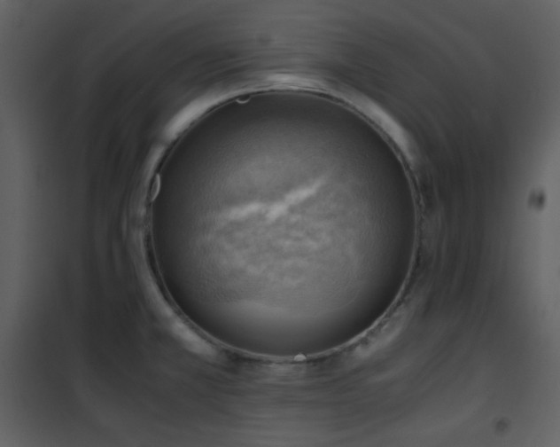 X0000102011381200807181218