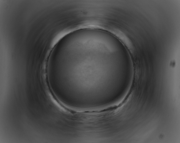 X0000102011382200807181218