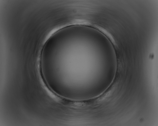 X0000102011383200807181218
