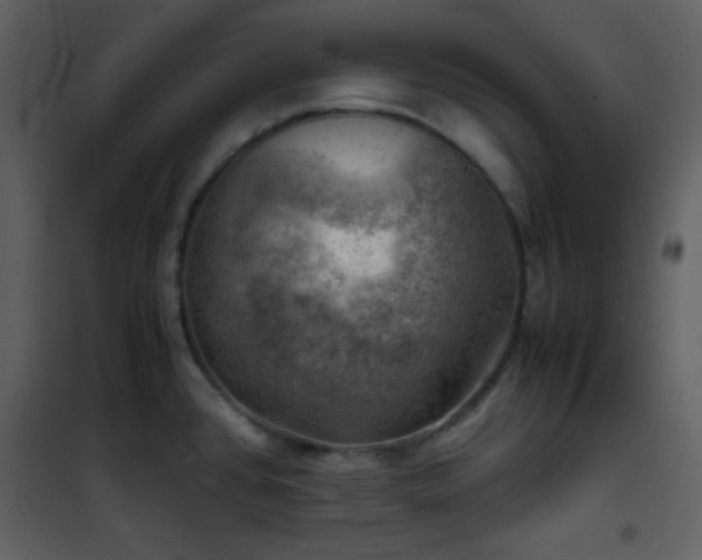 X0000102011384200807181218