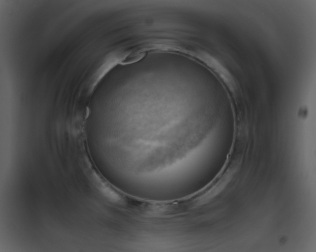 X0000102011385200807181218