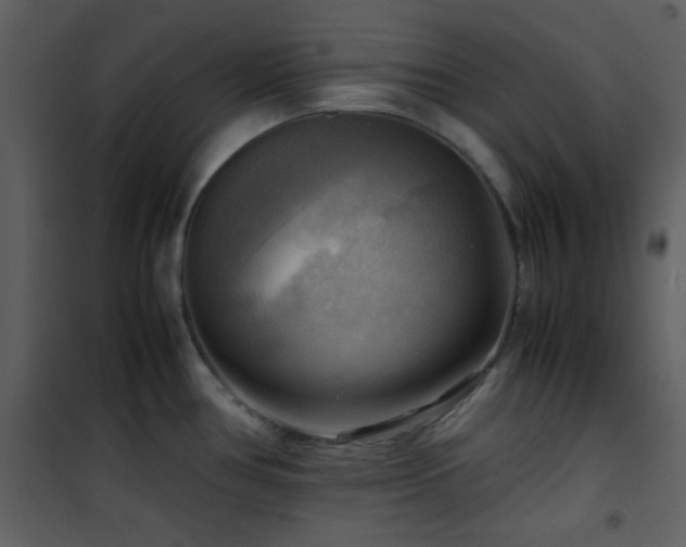 X0000102011386200807181218