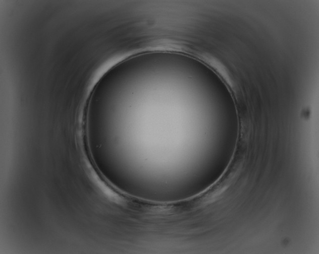 X0000102011387200807181218