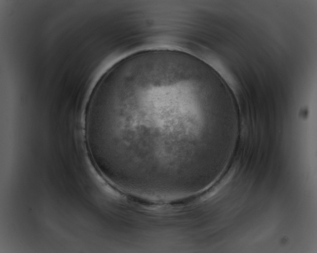 X0000102011388200807181218