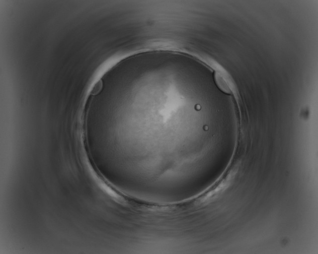 X0000102011389200807181218