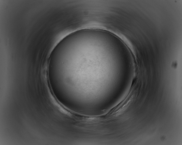 X0000102011390200807181218