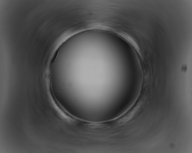 X0000102011391200807181218