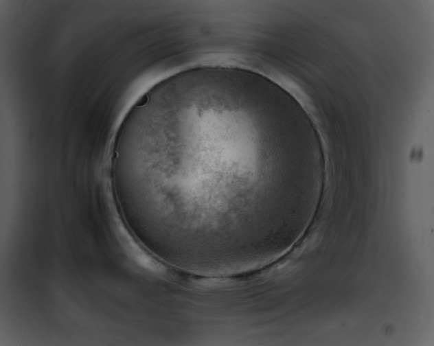 X0000102011392200807181218