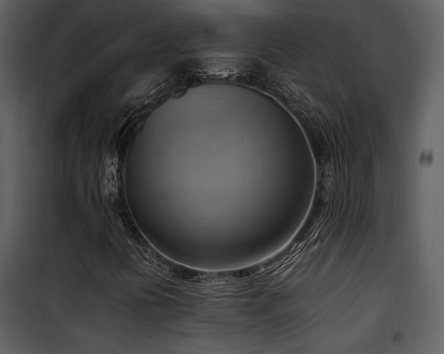 X0000102011394200807181217