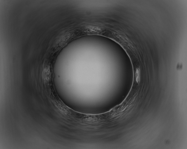 X0000102011395200807181217