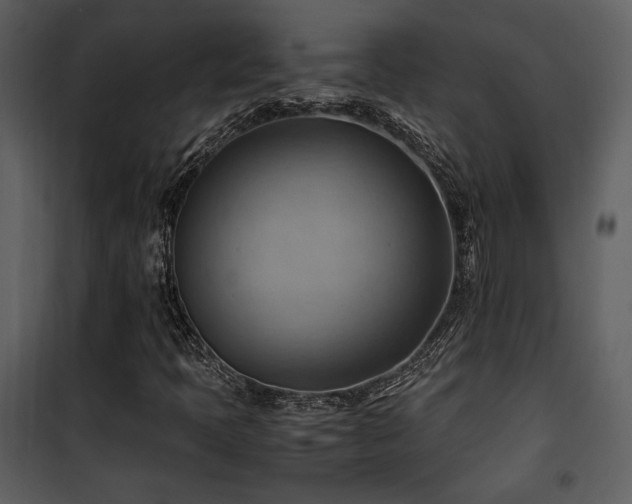 X0000102011397200807181217