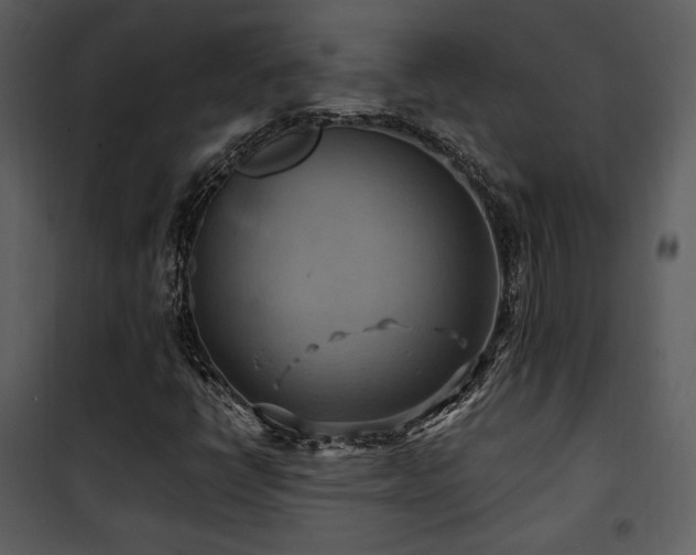 X0000102011398200807181217