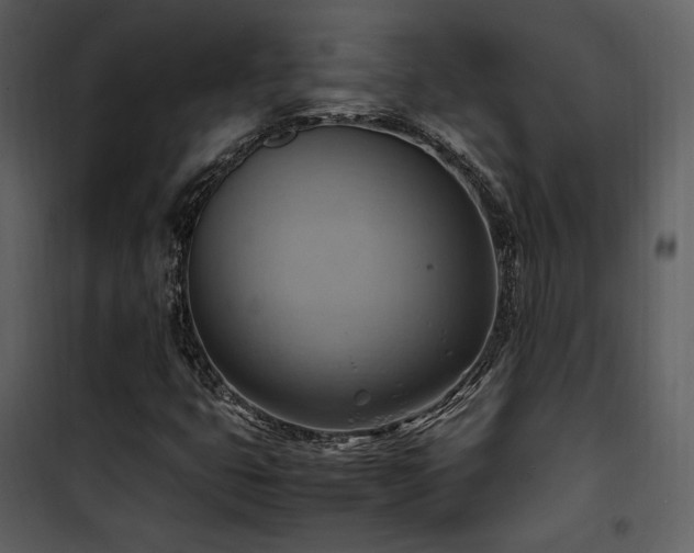 X0000102011399200807181217